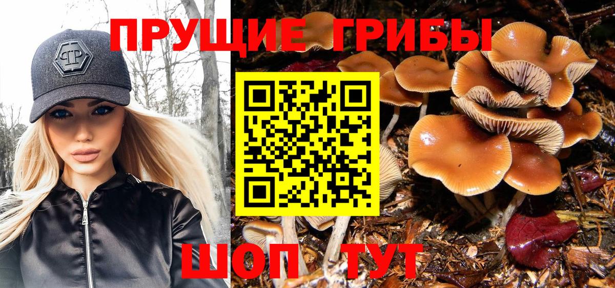 Псилоцибиновые грибы прущие грибы  Вход с VPN  Брянск 